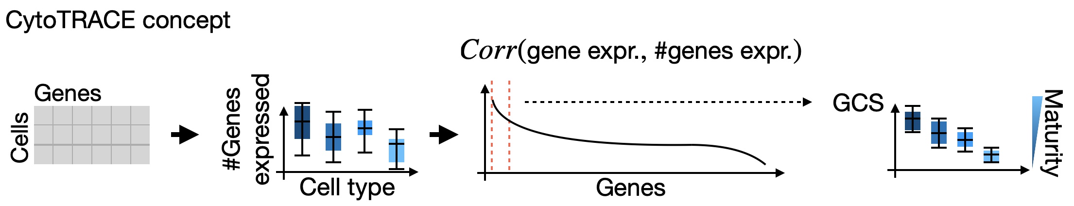 CytoTRACE uses the number of genes expressed per cell to estimate a developmental potential.